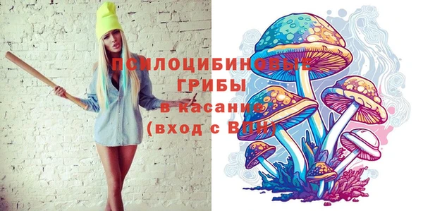 PSILOCYBIN Балабаново