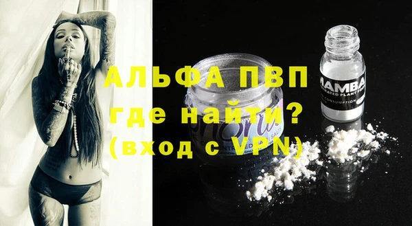 PSILOCYBIN Балабаново