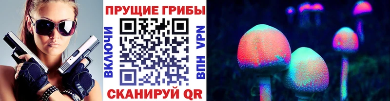 Галлюциногенные грибы Psilocybe  Горбатов 